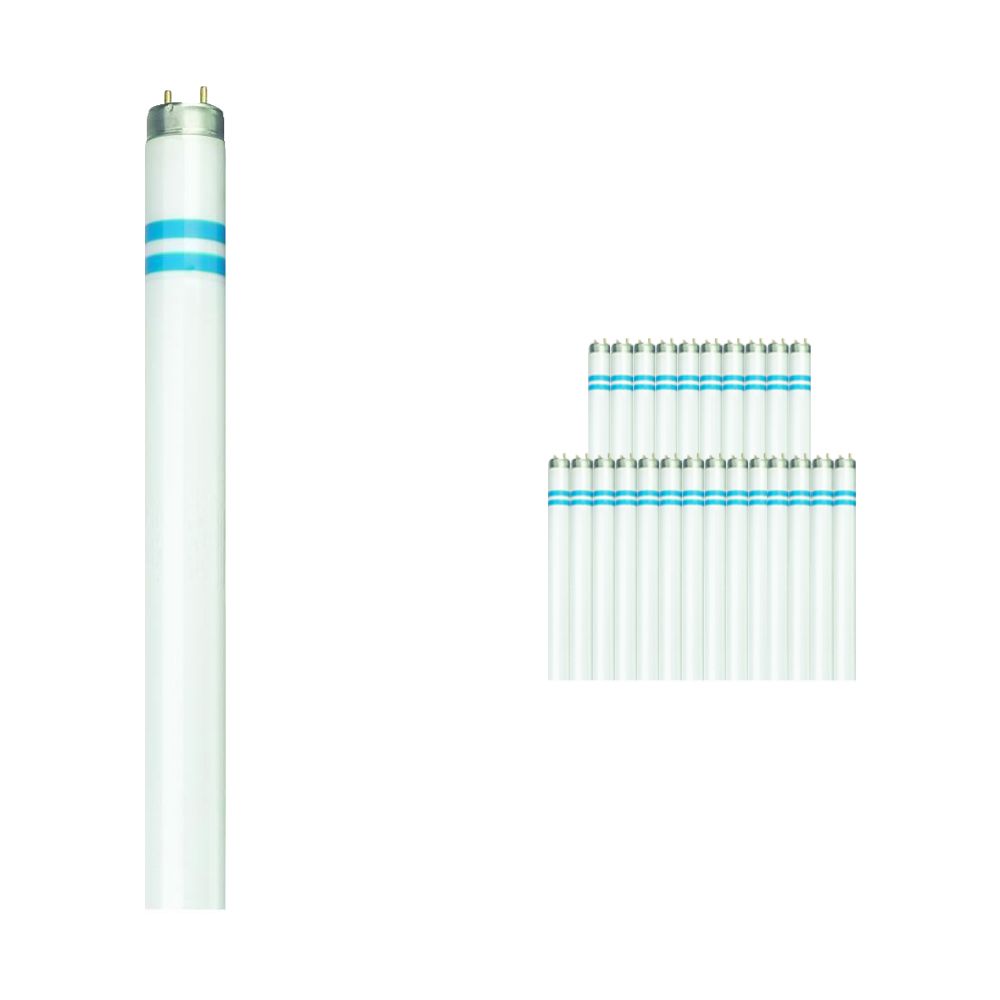 Mehrfachpackung 25x Philips TL-D Secura 58W 840 - 150cm (MASTER) Mehrfachpackung 25x Philips TL-D Secura 58W 840 - 150cm (MASTER)